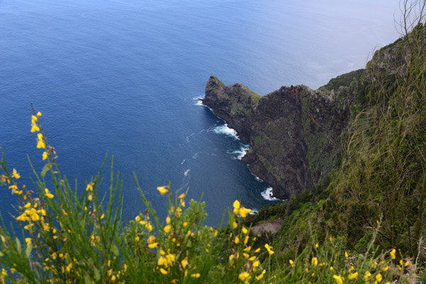 Madeira May17 265.jpg