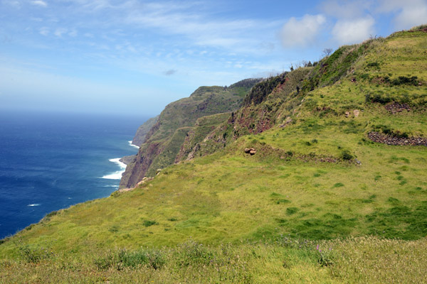 Madeira May17 521.jpg