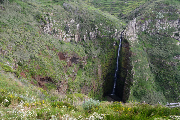Madeira May17 535.jpg