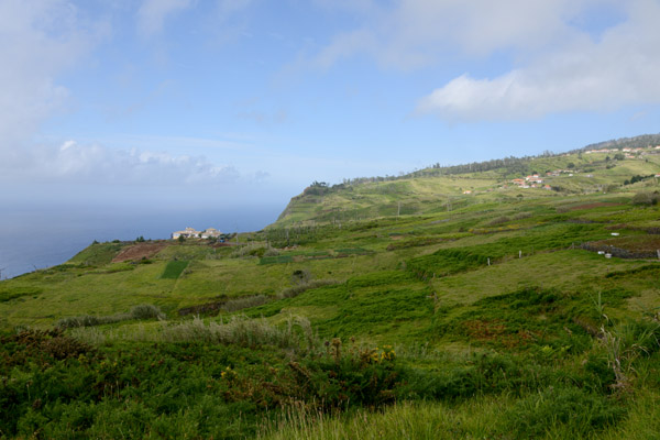 Madeira May17 540.jpg