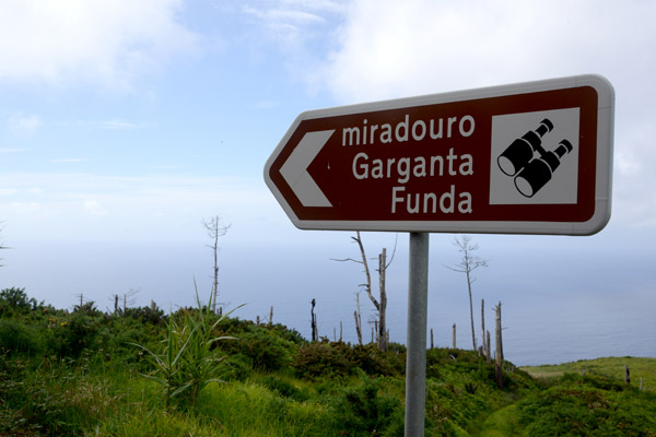 Madeira May17 541.jpg