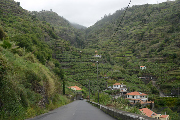 Madeira May17 615.jpg