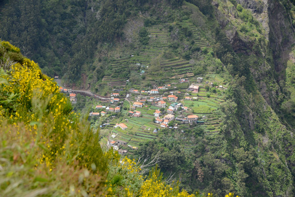 Madeira May17 667.jpg