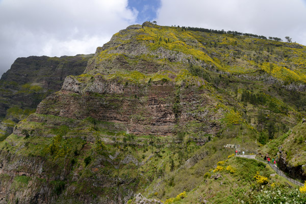 Madeira May17 673.jpg