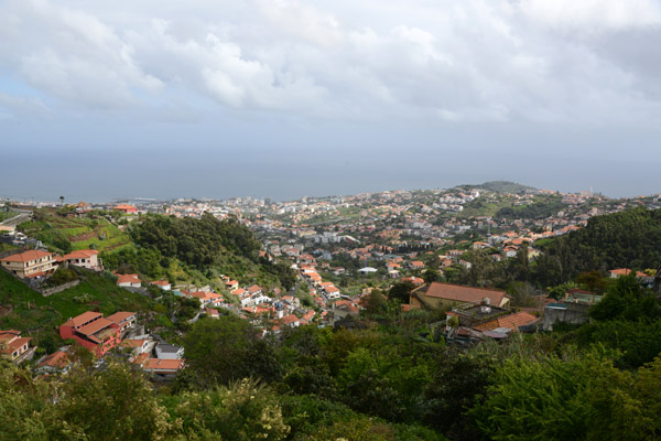 Madeira May17 699.jpg