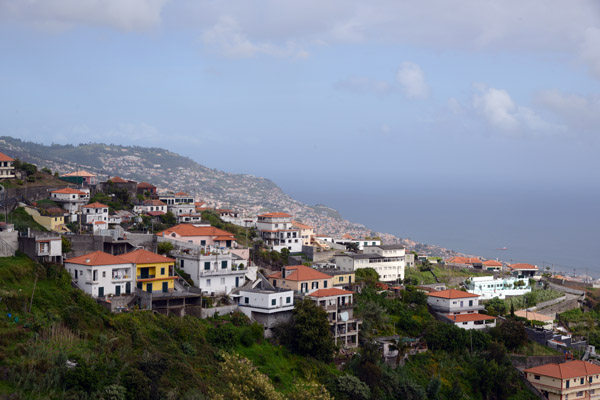 Madeira May17 700.jpg