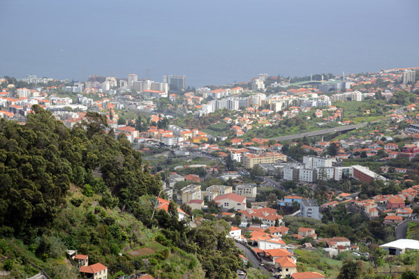 Madeira May17 701.jpg