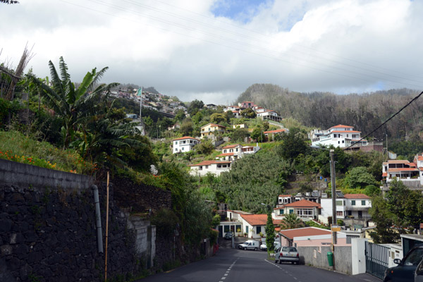 Madeira May17 703.jpg