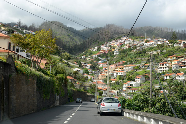 Madeira May17 704.jpg