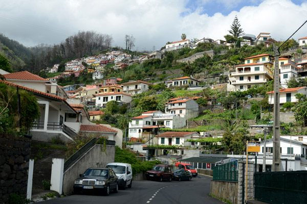 Madeira May17 705.jpg