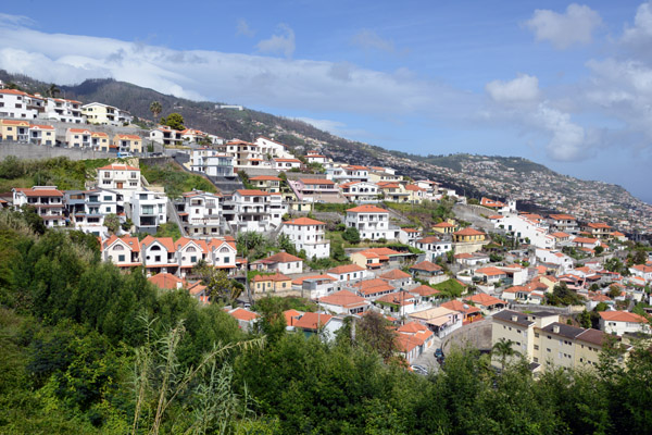 Madeira May17 706.jpg