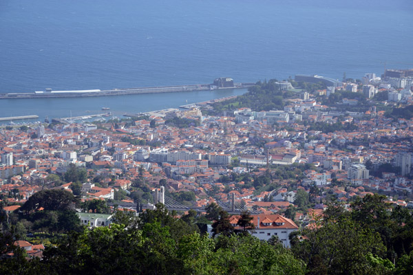 Madeira May17 720.jpg