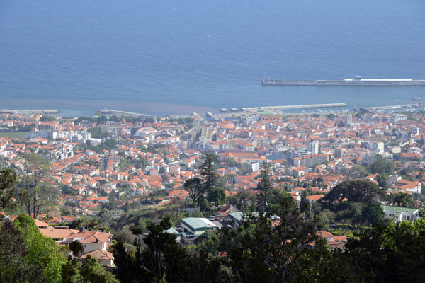 Madeira May17 721.jpg