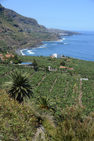 Northwest coast of Tenerife, Los Reallejos