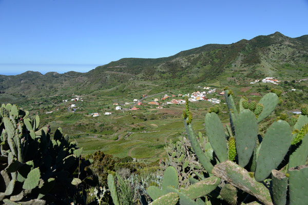 Prickly Pear, Mirador Altos de Baracn, Tenerife