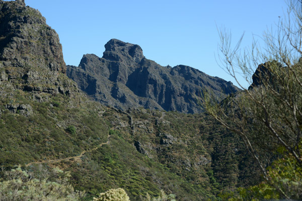 Carrizales Mountain Trail, Tenerife