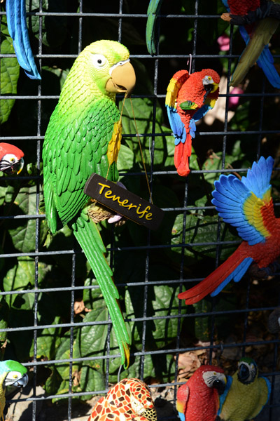 Ceramic parrot, Masca