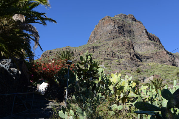 Mountain and Cactus, Masca