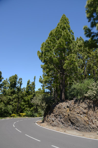 Carretara de la Esperanza, Tenerife