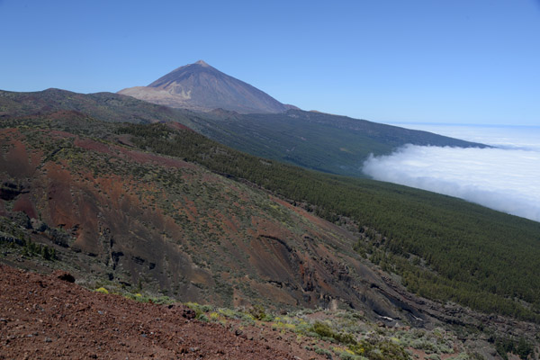 Mirador El Valle, Parque Nacional del Teide, Tenerife