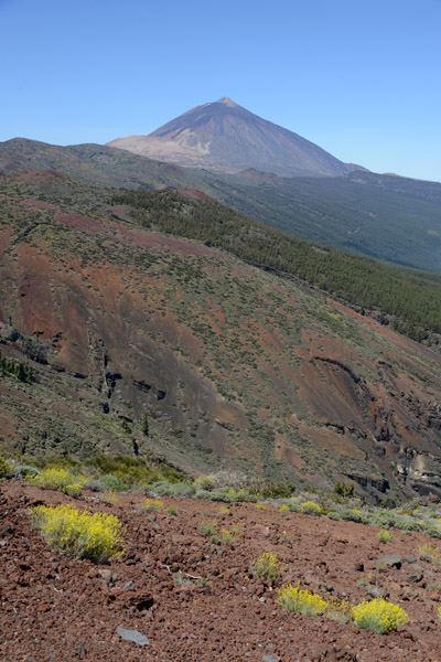 Parque Nacional del Teide, Tenerife