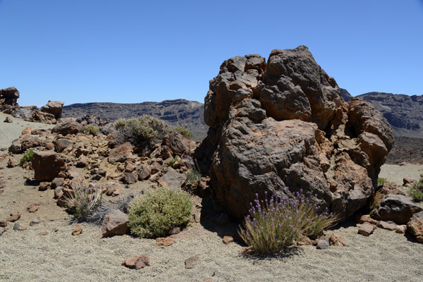 Parque Nacional del Teide, Tenerife