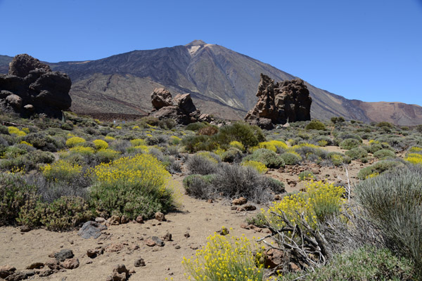 Mirador de La Ruleta, Parque Nacional del Teide, Tenerife