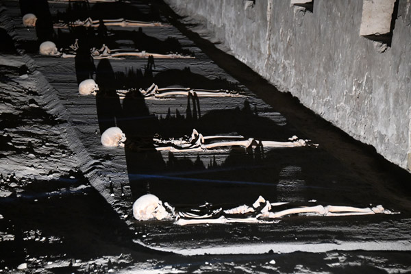 Skeletons,  Occidens Museum, Monastery of Pamplona Cathedral