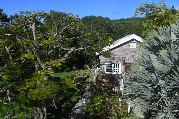 StKitts Nov19 093.jpg