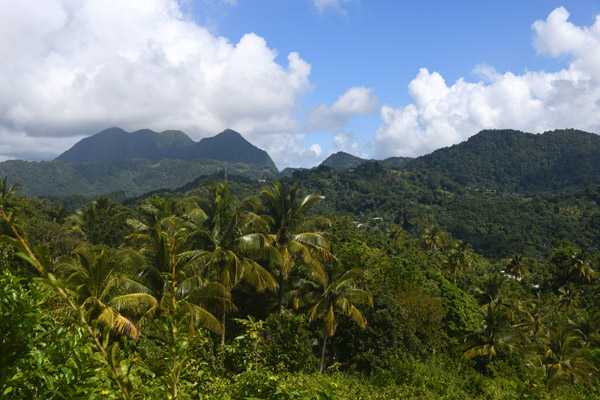 StLucia Nov19 113.jpg