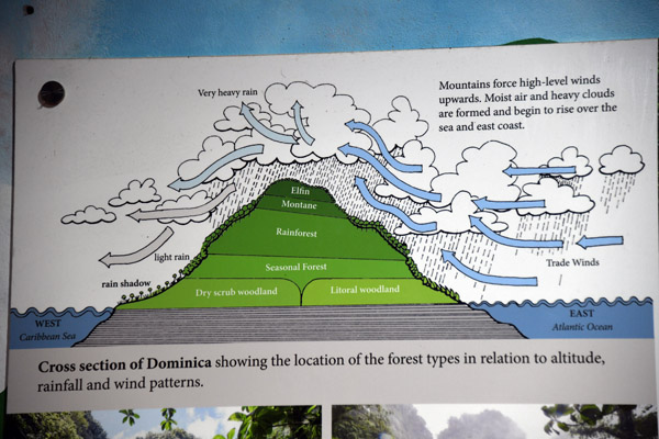 Dominica Nov19 065.jpg