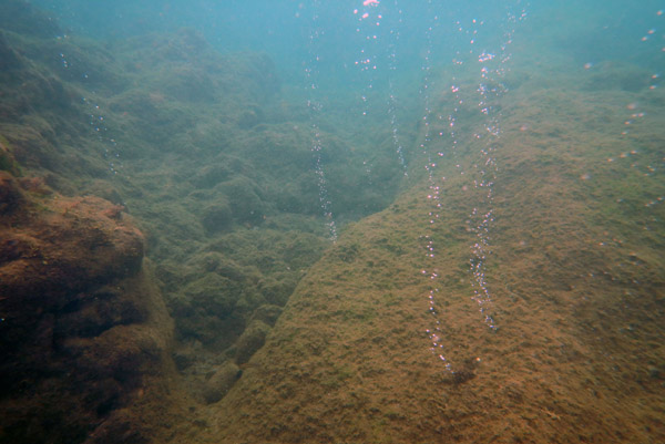 ChampageReef Nov19 01.jpg