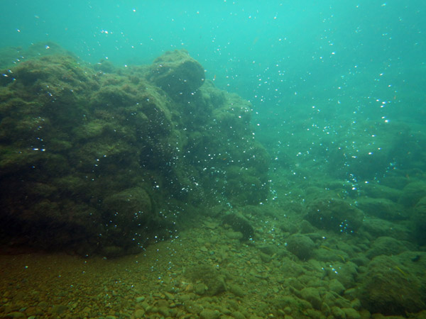ChampageReef Nov19 04.jpg