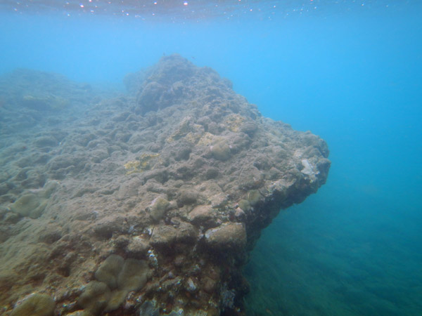 ChampageReef Nov19 05.jpg