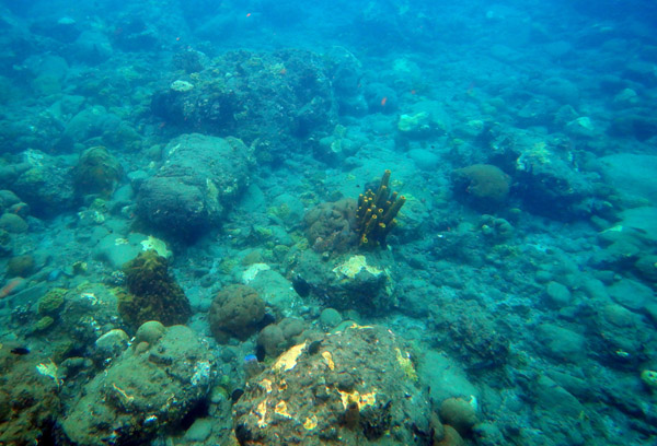 ChampageReef Nov19 07.jpg