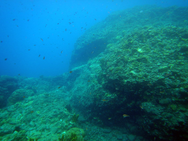 ChampageReef Nov19 15.jpg