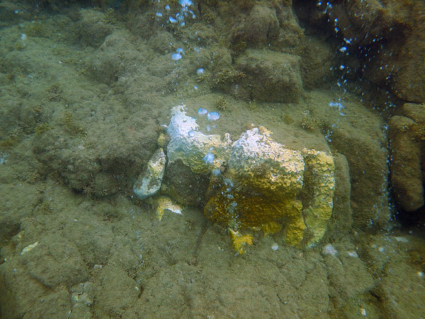 ChampageReef Nov19 36.jpg