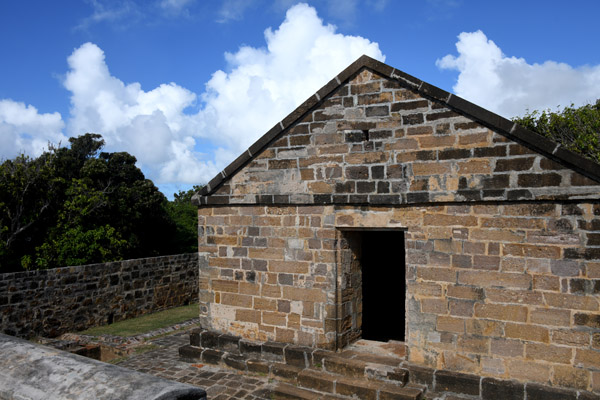 Antigua Nov19 045.jpg