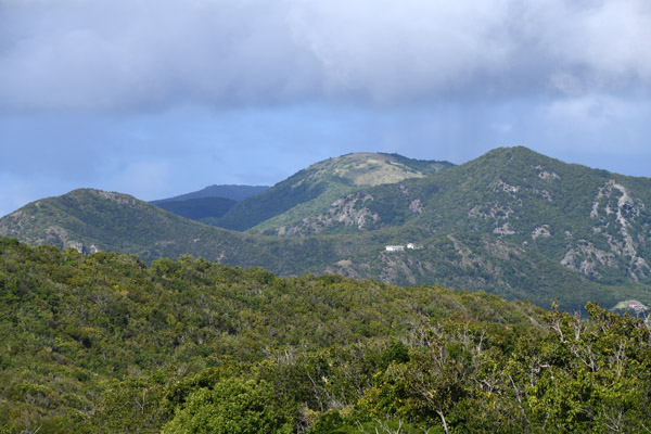 Antigua Nov19 047.jpg