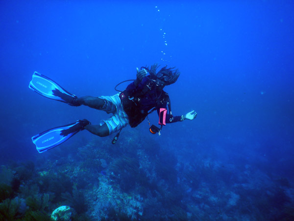 SXM Dive Nov19 002.jpg