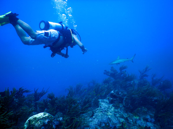 SXM Dive Nov19 005.jpg