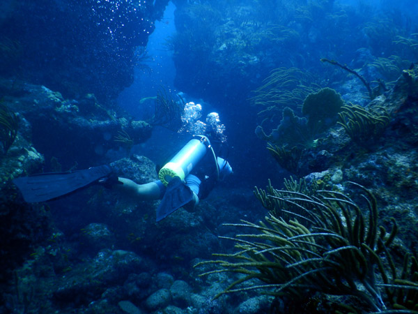 SXM Dive Nov19 021.jpg