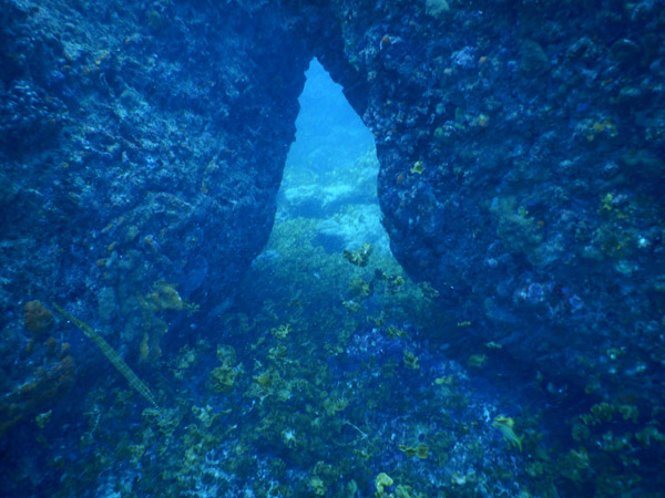 SXM Dive Nov19 036.jpg