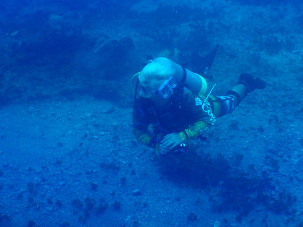 SXM Dive Nov19 111.jpg
