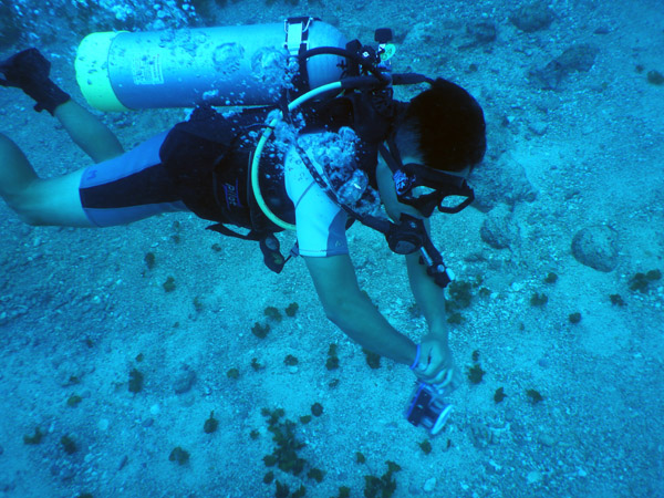 SXM Dive Nov19 118.jpg