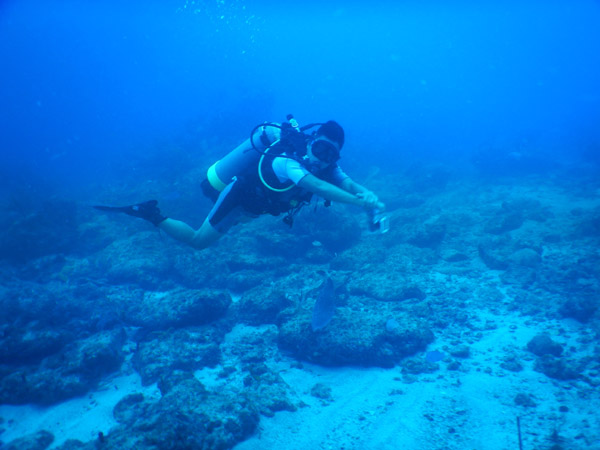 SXM Dive Nov19 200.jpg