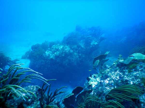 SXM Dive Nov19 205.jpg