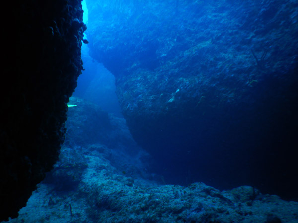 SXM Dive Nov19 238.jpg