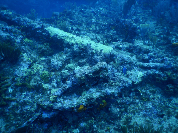SXM Dive Nov19 261.jpg