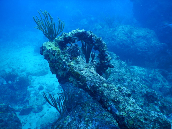 SXM Dive Nov19 262.jpg
